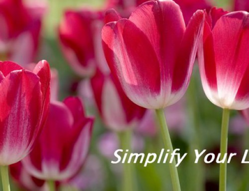 It’s Spring! Is It Time to Declutter Your Life? =)